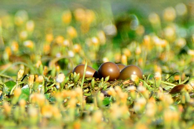 蔡庆彪 照片 (6)