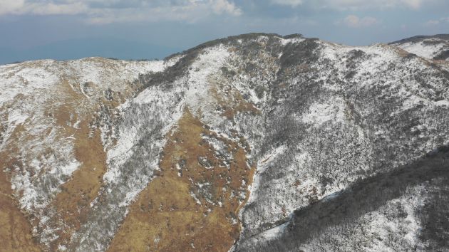 航拍香柏场 (17)