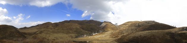 瓦马香柏场全景图