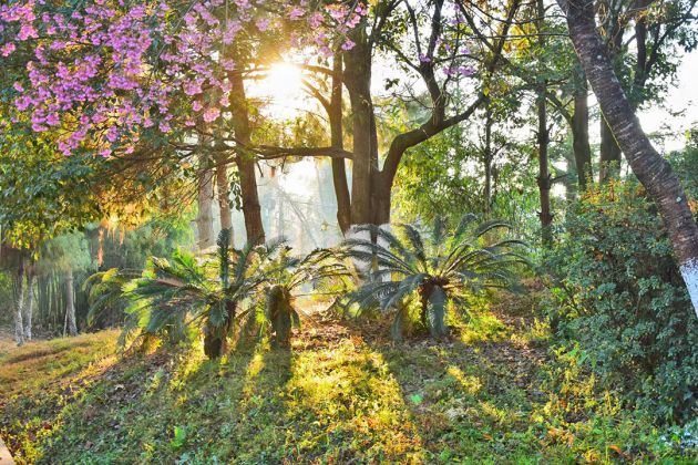 微信图片_20210113090808