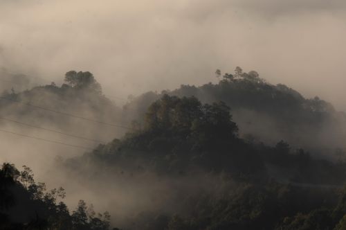 王新 049 13888986404