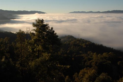 王新 047 13888986404