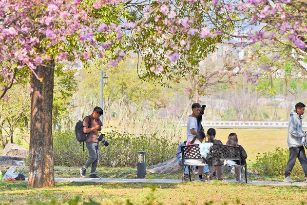 11公园享春天 (30)