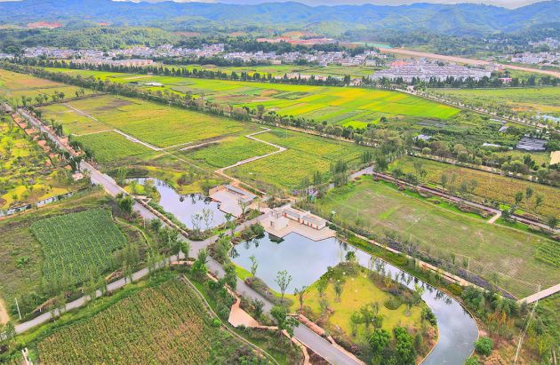 微信图片_202009141651175