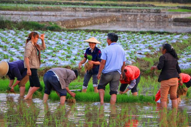 IMG_1008_副本_副本