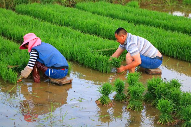 IMG_1011_副本_副本