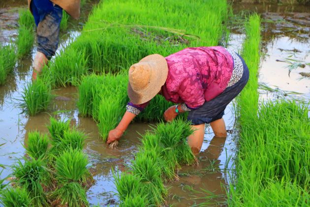 IMG_1010_副本_副本