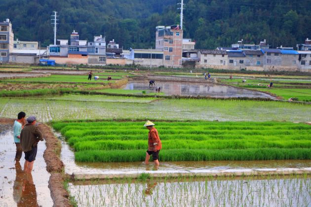 IMG_1004_副本_副本