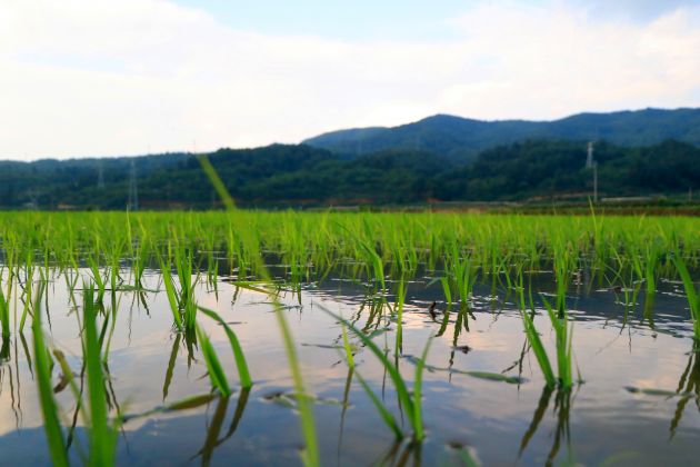 IMG_1031_副本_副本