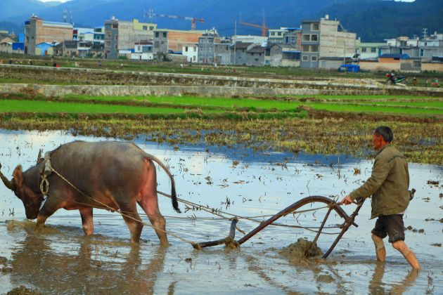 IMG_1024_副本_副本