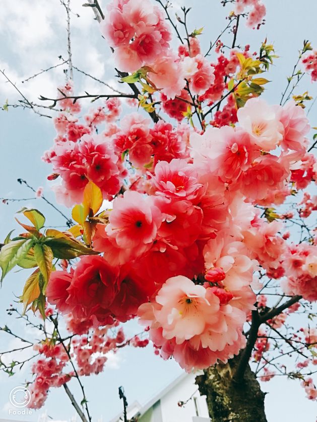 0c46b3fdbf480bc2dbe581e420c14db