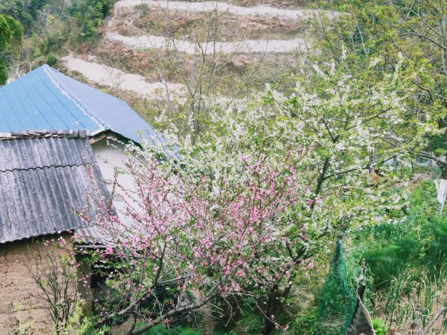 a81163f8ff1f219a04b4f9ae9c226f3