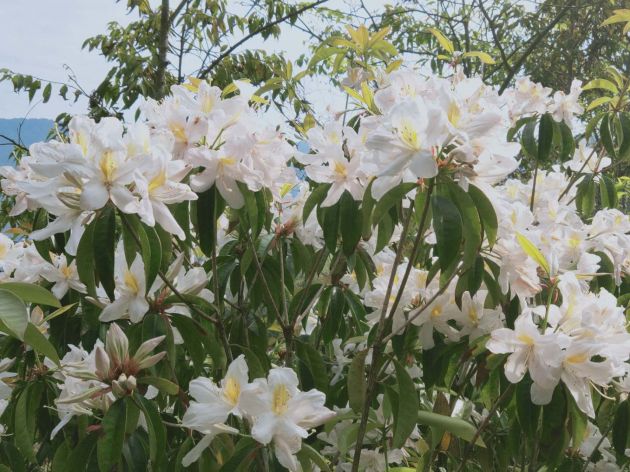 8f832bd11a6d3812ab6857e6c871741