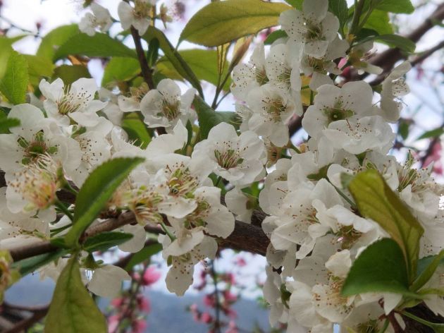 0cc7570095765d28f78388a9428b90b