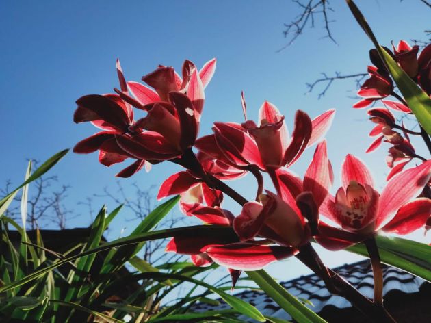 56fe7f8aea77de26707c051195b603c