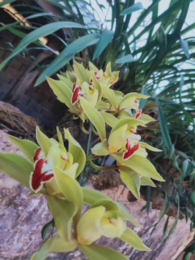 bcc622a6dadf7d462ae3c3fcd47456b