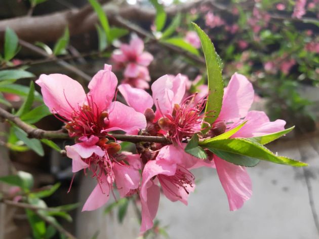 75d31a6a56796e581b9f9b6364b2948