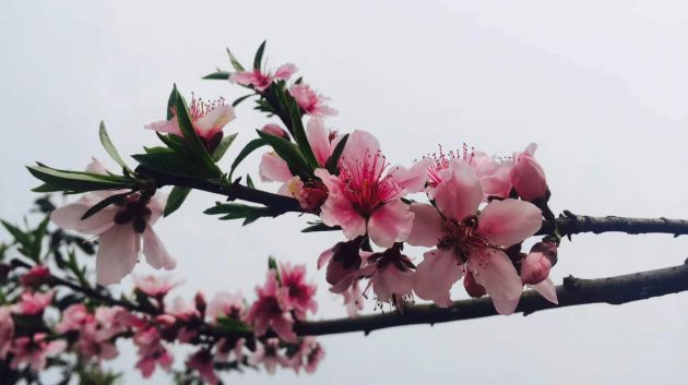 8f997459a4869ffc7cd33b017b82a02