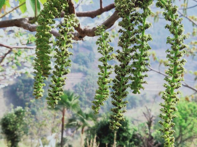 efd8d4b5943be070d80c27eaf687acb