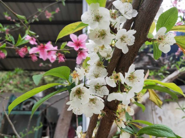 13f396f85bb682f487e023cb87f6bef